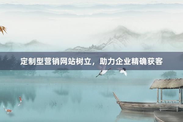 定制型营销网站树立，助力企业精确获客