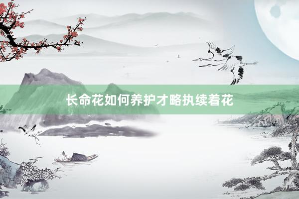 长命花如何养护才略执续着花